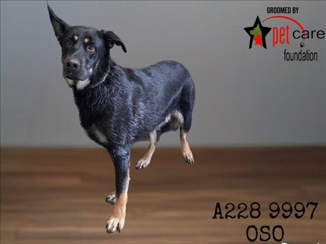 OSO Image