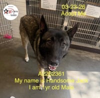 HANDSOME JACK - Photo 1