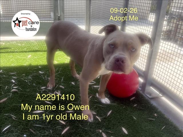 OWEN Image