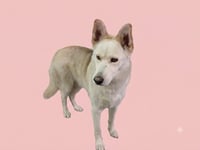 LUNA - Photo 1