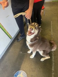 BUDDY - Photo 1