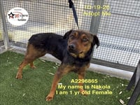 NAKOLA - Photo 1