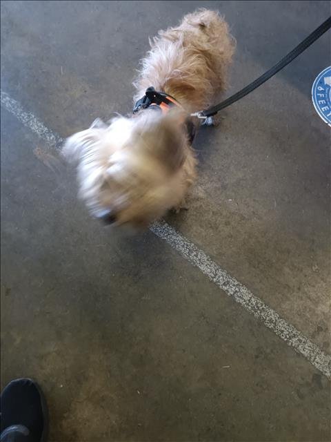 ROCKO Image