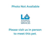 A2289404 - Photo 1