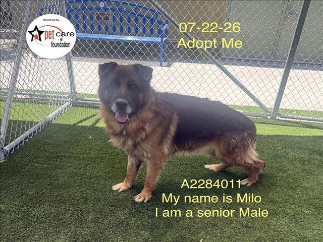 MILO Image