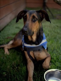 MIA - Photo 1