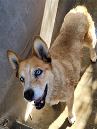 MOLLY - Photo 1