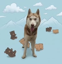 CUB - Photo 1