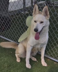 LUNA - Photo 1