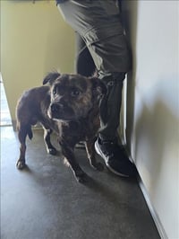 COCO - Photo 1