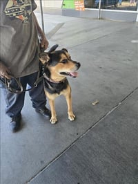 COOPER - Photo 1