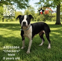 CHECKERS - Photo 1