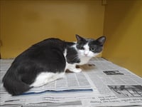 COBY - Photo 1