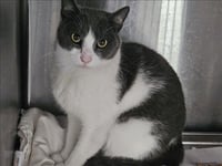 LUCI - Photo 1
