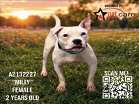 MILLY - Photo 1