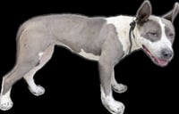 TIPPY - Photo 1