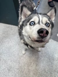 ECHO - Photo 1