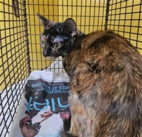 CEFERINA - Photo 1