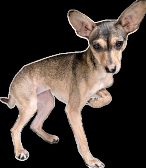 CHISPA Image