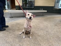 NALA - Photo 1