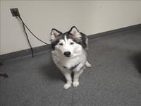CLOUD - Photo 1