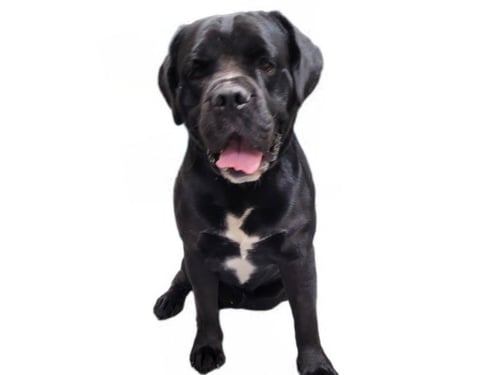 BEN