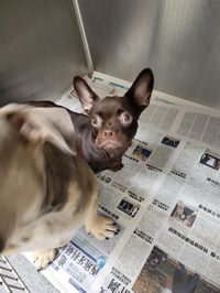 COCO - Photo 1