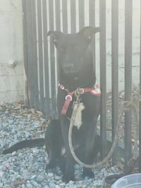 HELIO - Photo 1