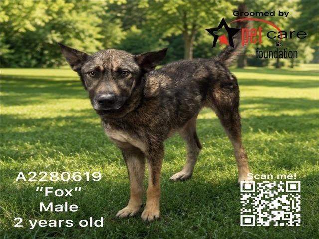 FOX Image