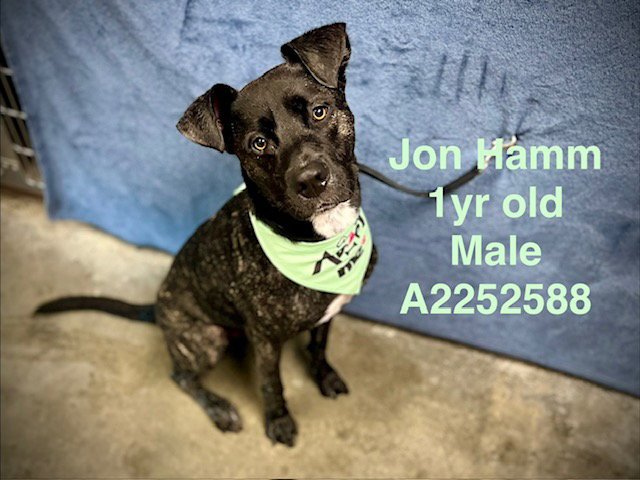 JON HAMM Image