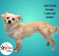 JORDAN - Photo 1