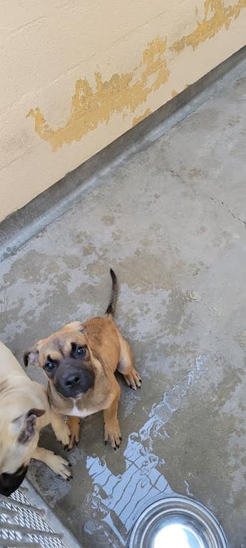 KONA Image