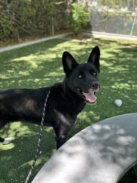 BELLA - Photo 1