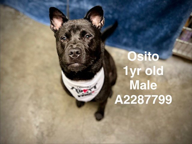 OSITO Image
