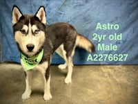 ASTRO - Photo 1