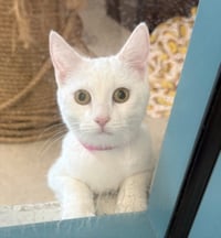 JUNO - Photo 1