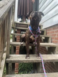 ROSEY - Photo 1