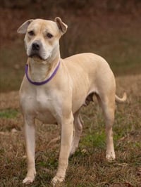 MAE MAE - Photo 1