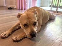 MAE MAE - Photo 1