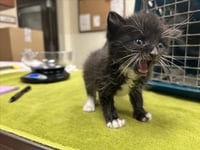 EEPY - Photo 1