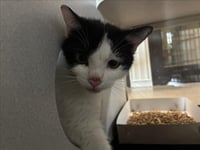 YAHTZEE - Photo 1