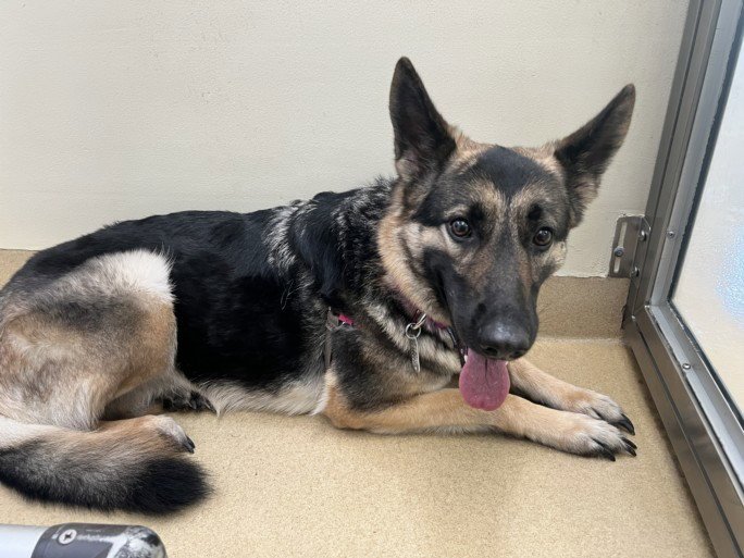 LUCY Image