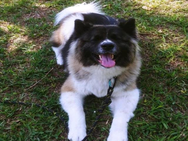 ZOEY Image