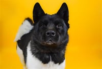 ZEUS - Photo 1