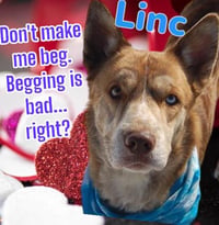 LINC - Photo 1