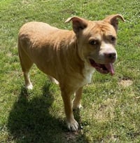 MISSY - Photo 1