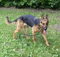 JUNE - Photo 1