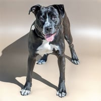 WINNIE - Photo 1