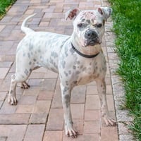 LUCY - Photo 1
