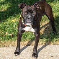MATEO - Photo 1